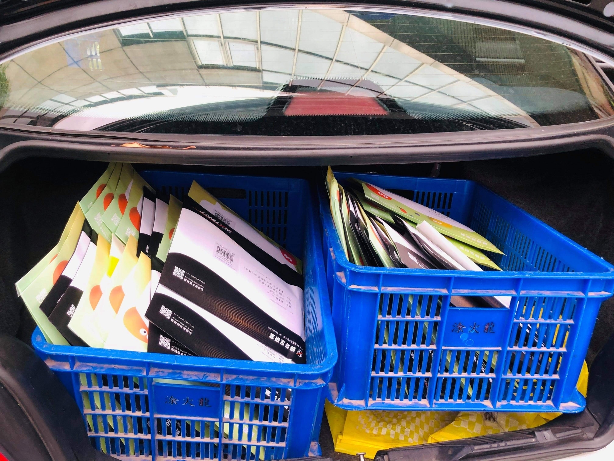 117392488 3204432746338456 6406984725270990439 n