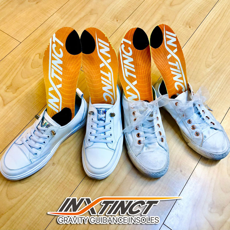 INXTINCT知識小學堂