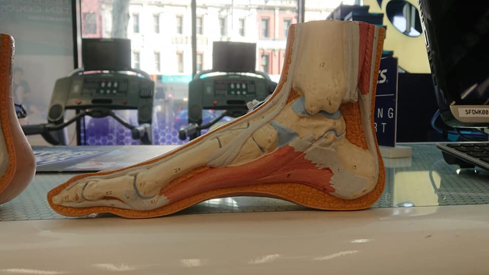 70361370 2388407287941010 6572803579390722048 n