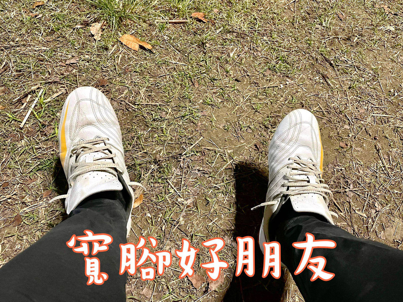 2023031501N
