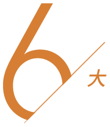 6大