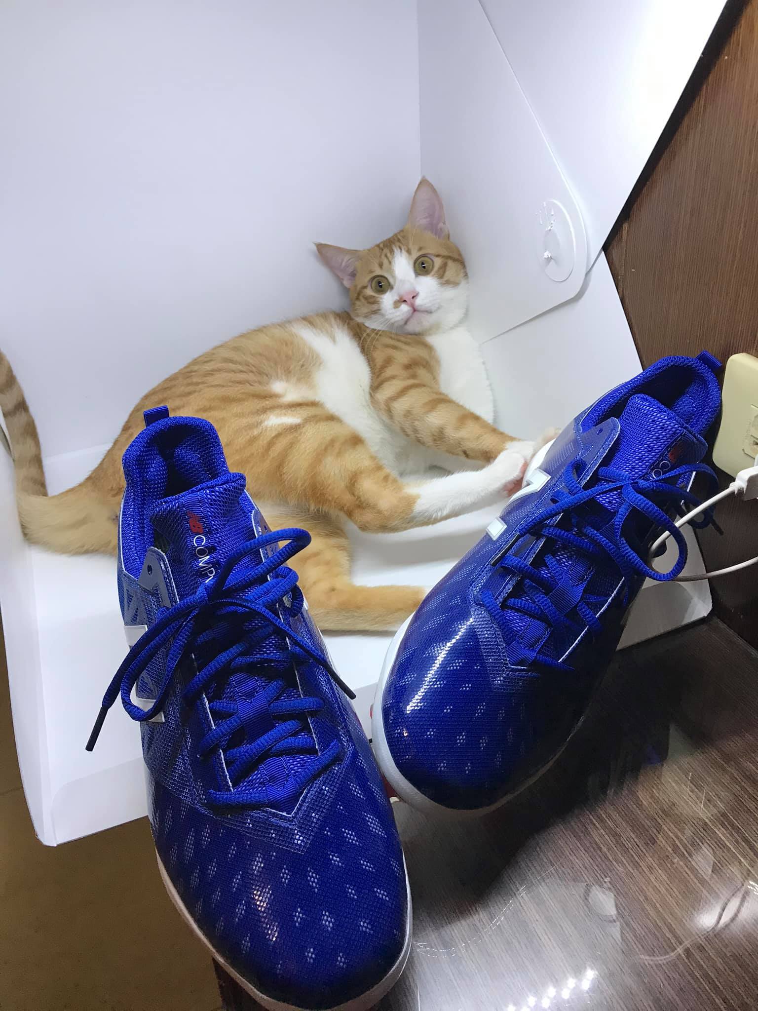 NB compv1與INXTINCT鞋墊推薦分享